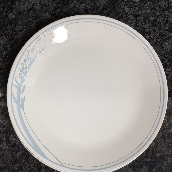 Corelle by Corningware 4 Blue Lily Dinner Plates 10" Sandstone - Picture 2 of 4